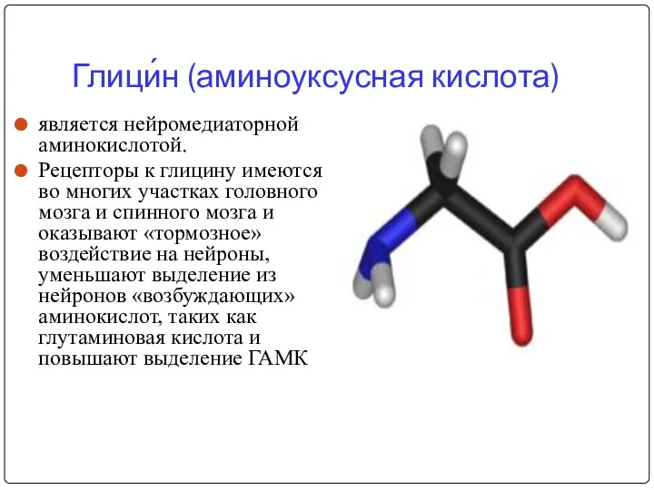 Глици́н (аминоуксусная кислота) является нейромедиаторной аминокислотой. Рецепторы к глицину имеются