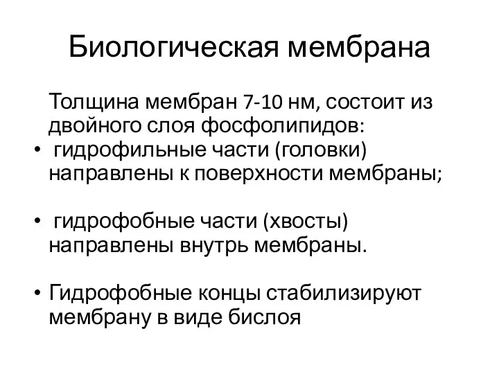 Биологическая мембрана Толщина мембран 7-10 нм, состоит из двойного слоя фосфолипидов: гидрофильные части