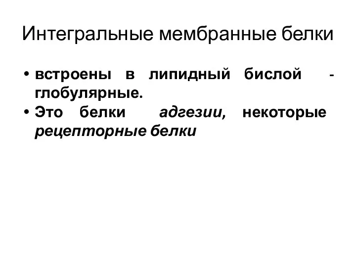 Интегральные мембранные белки встроены в липидный бислой -глобулярные. Это белки адгезии, некоторые рецепторные белки