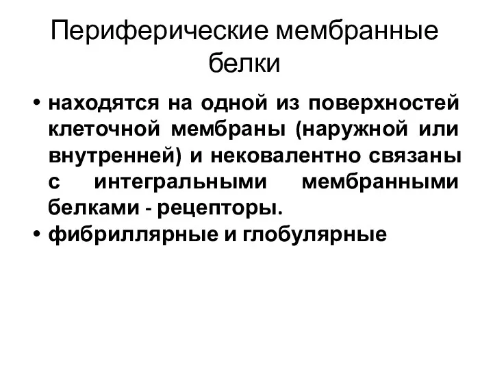 Периферические мембранные белки находятся на одной из поверхностей клеточной мембраны (наружной или внутренней)