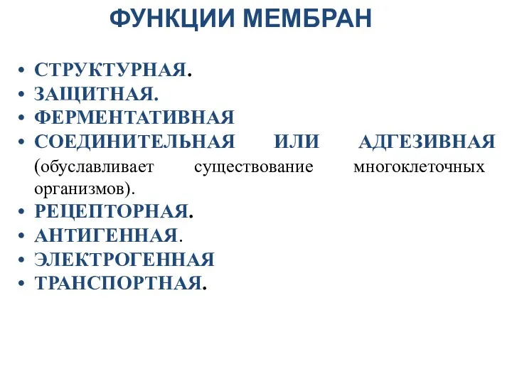 ФУНКЦИИ МЕМБРАН СТРУКТУРНАЯ. ЗАЩИТНАЯ. ФЕРМЕНТАТИВНАЯ СОЕДИНИТЕЛЬНАЯ ИЛИ АДГЕЗИВНАЯ (обуславливает существование многоклеточных организмов). РЕЦЕПТОРНАЯ. АНТИГЕННАЯ. ЭЛЕКТРОГЕННАЯ ТРАНСПОРТНАЯ.