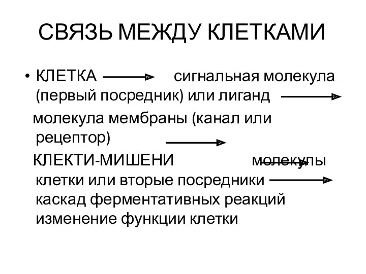 СВЯЗЬ МЕЖДУ КЛЕТКАМИ КЛЕТКА сигнальная молекула (первый посредник) или лиганд молекула мембраны (канал