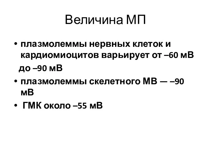 Величина МП плазмолеммы нервных клеток и кардиомиоцитов варьирует от –60 мВ до –90