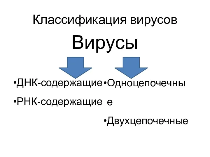 Классификация вирусов Вирусы ДНК-содержащие РНК-содержащие Одноцепочечные Двухцепочечные