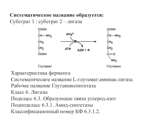 Систематическое название образуется: Субстрат 1 : субстрат 2 – лигаза