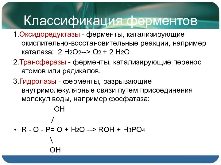 Классификация ферментов 1.Оксидоредуктазы - ферменты, катализирующие окислительно-восстановительные реакции, например каталаза: