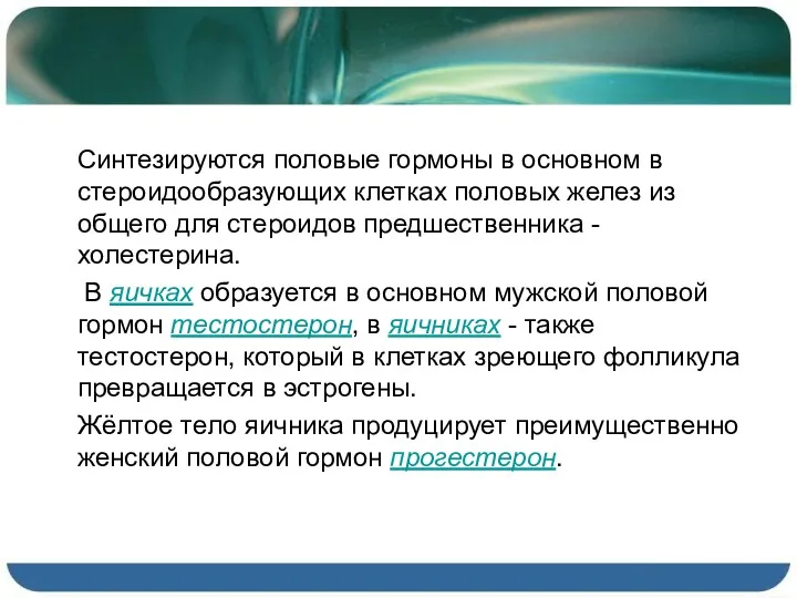 Синтезируются половые гормоны в основном в стероидообразующих клетках половых желез