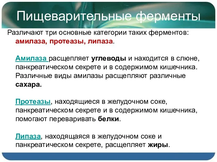 Пищеварительные ферменты Различают три основные категории таких ферментов: амилаза, протеазы,