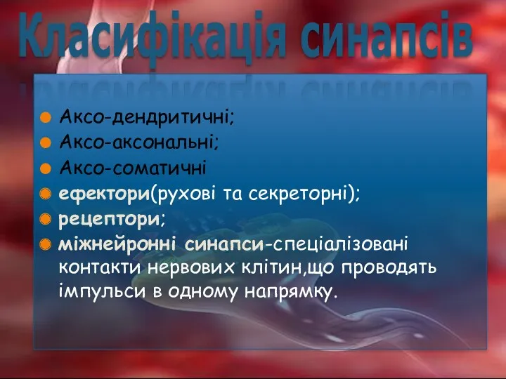 Аксо-дендритичні; Аксо-аксональні; Аксо-соматичні ефектори(рухові та секреторні); рецептори; міжнейронні синапси-спеціалізовані контакти