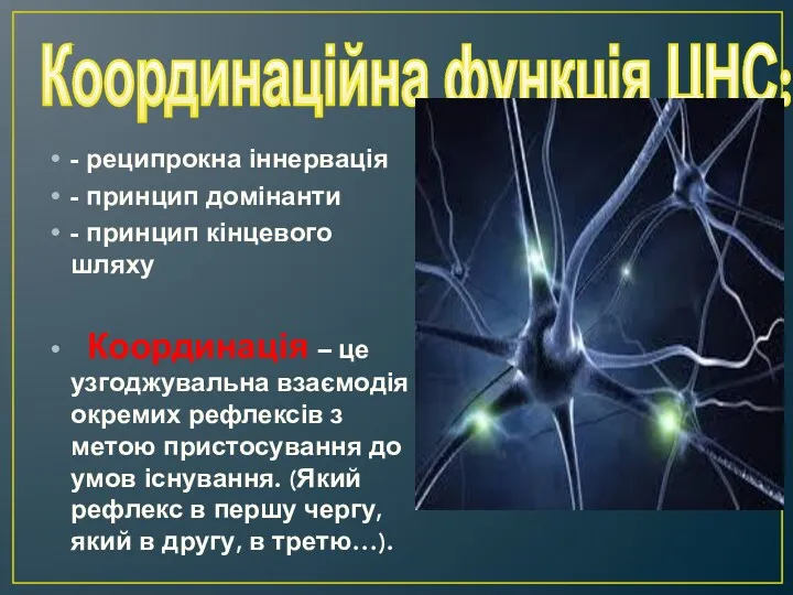 Координаційна функція ЦНС: - реципрокна іннервація - принцип домінанти -