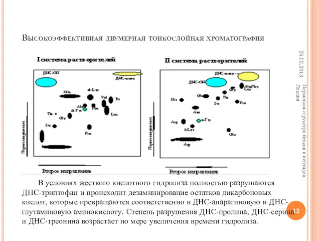 Высокоэффективная двумерная тонкослойная хроматография 25.02.2013 Первичная структура белков и пептидов.