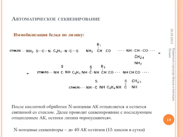 Автоматическое секвенирование 25.02.2013 Первичная структура белков и пептидов. Лекция После