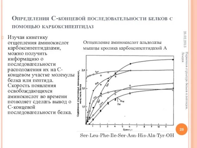 Определения С-концевой последовательности белков с помощью карбоксипептидаз Изучая кинетику отщепления