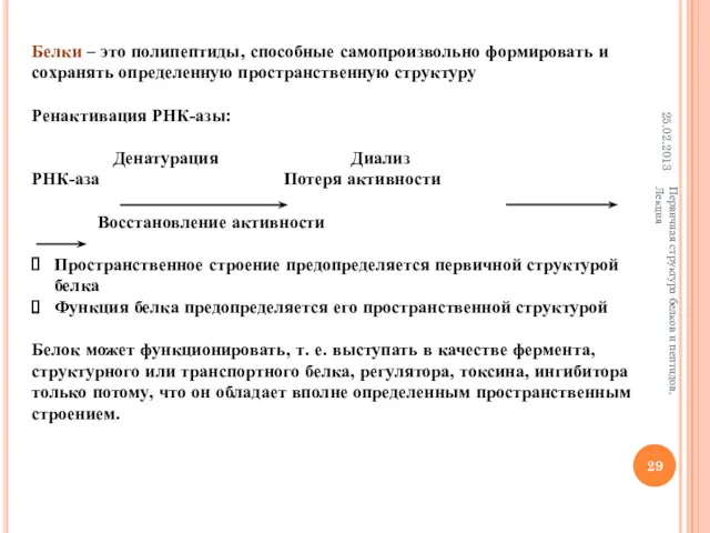 25.02.2013 Первичная структура белков и пептидов. Лекция Белки – это
