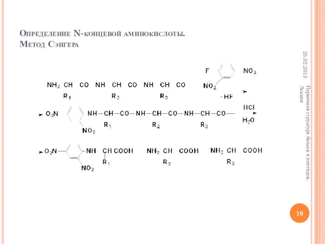 Определение N-концевой аминокислоты. Метод Сэнгера 25.02.2013 Первичная структура белков и пептидов. Лекция