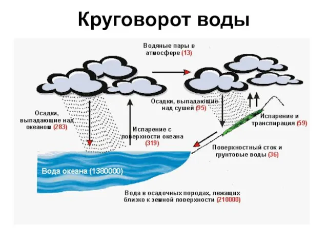 Круговорот воды