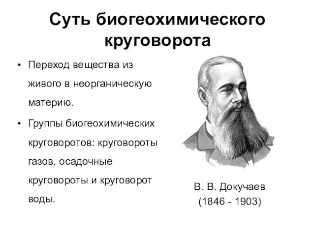 Суть биогеохимического круговорота Переход вещества из живого в неорганическую материю.