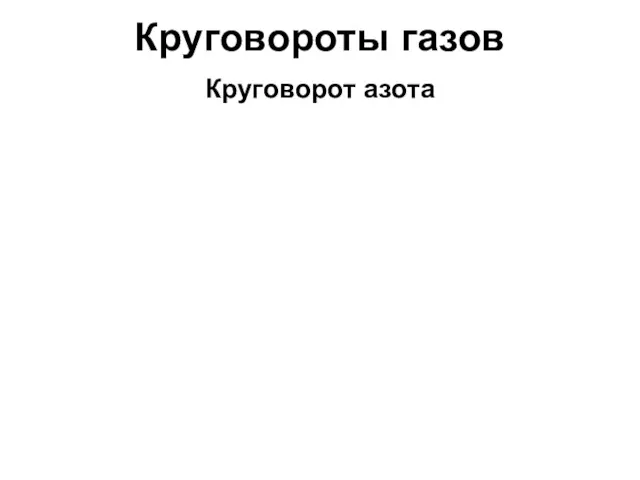 Круговороты газов Круговорот азота