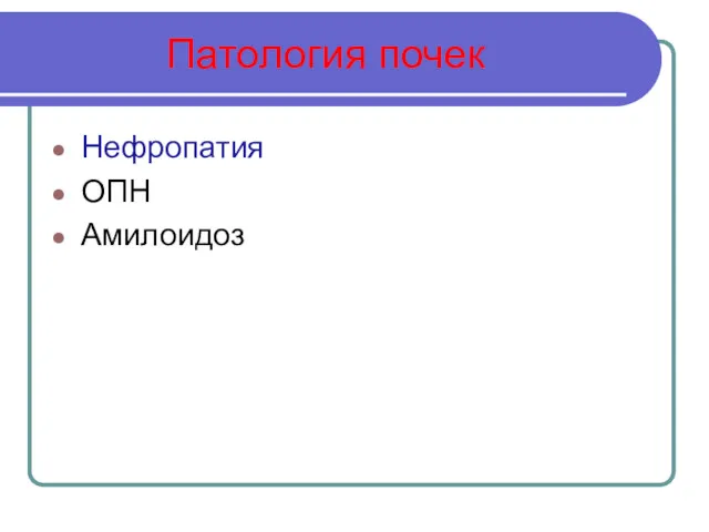 Патология почек Нефропатия ОПН Амилоидоз