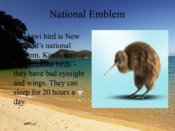 National Emblem The kiwi bird is New Zealand’s national emblem.