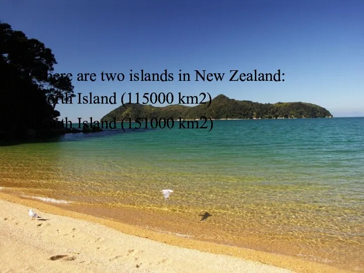 There are two islands in New Zealand: North Island (115000 km2) South Island (151000 km2)