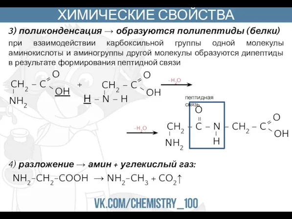 ХИМИЧЕСКИЕ СВОЙСТВА 3) поликонденсация → образуются полипептиды (белки) при взаимодействии карбоксильной группы одной