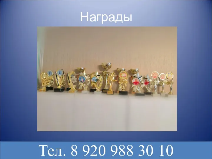 Награды Тел. 8 920 988 30 10