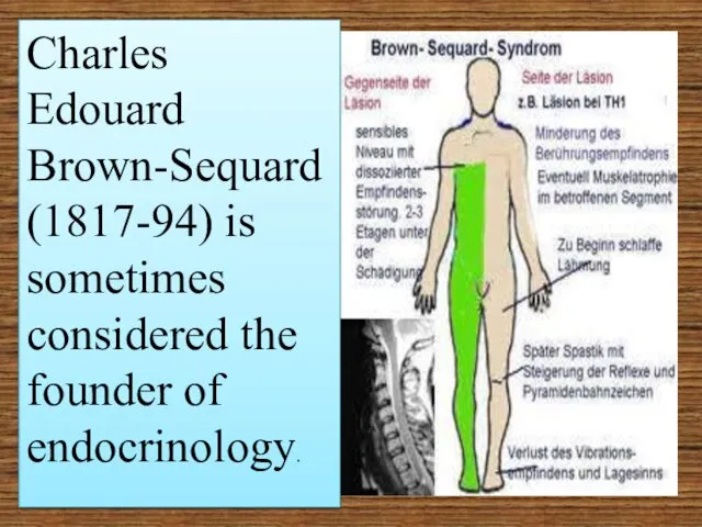 Charles Edouard Brown-Sequard (1817-94) is sometimes considered the founder of endocrinology.
