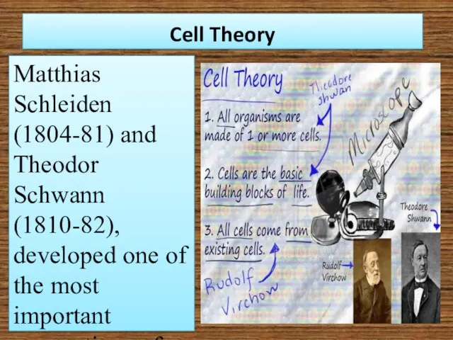 Cell Theory Matthias Schleiden (1804-81) and Theodor Schwann (1810-82), developed one of the