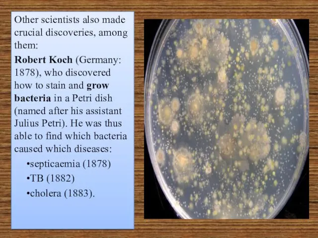 Other scientists also made crucial discoveries, among them: Robert Koch (Germany: 1878), who