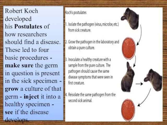 Robert Koch developed his Postulates of how researchers should find a disease. These