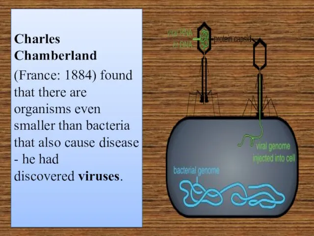 Charles Chamberland (France: 1884) found that there are organisms even smaller than bacteria
