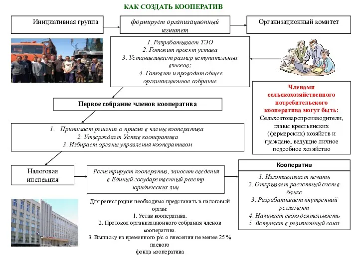 Инициативная группа формирует организационный комитет Организационный комитет Регистрирует кооператив, заносит