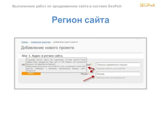 Выполнение работ по продвижению сайта в системе SeoPult Регион сайта