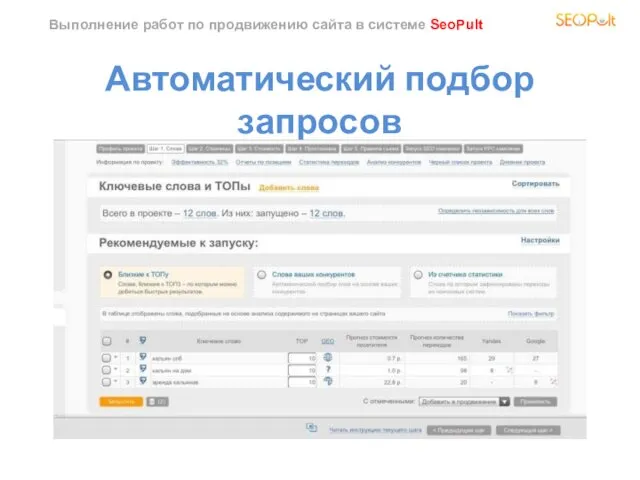 Выполнение работ по продвижению сайта в системе SeoPult Автоматический подбор запросов