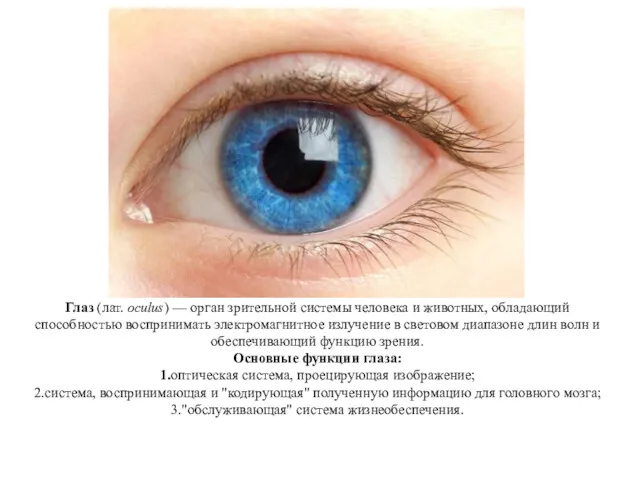 Глаз (лат. oculus) — орган зрительной системы человека и животных,