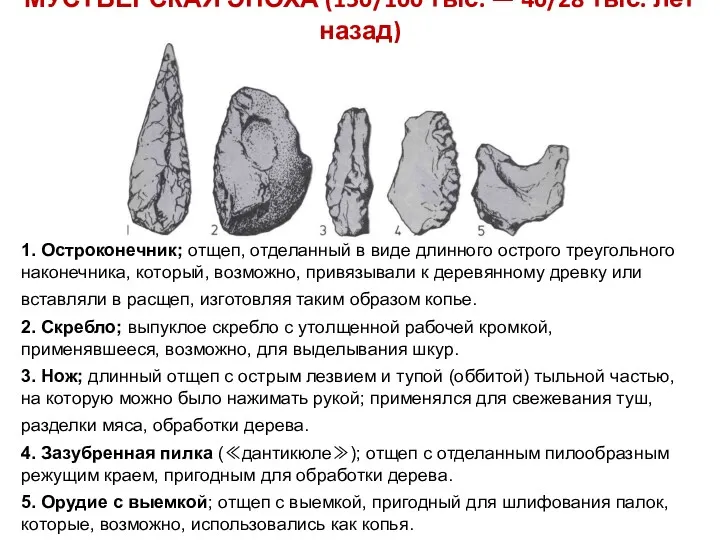 МУСТЬЕРСКАЯ ЭПОХА (150/100 тыс. — 40/28 тыс. лет назад) 1.