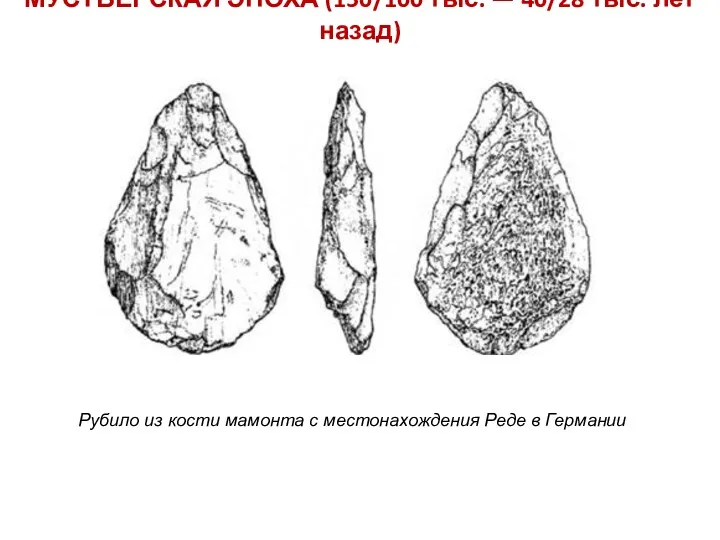 МУСТЬЕРСКАЯ ЭПОХА (150/100 тыс. — 40/28 тыс. лет назад) Рубило