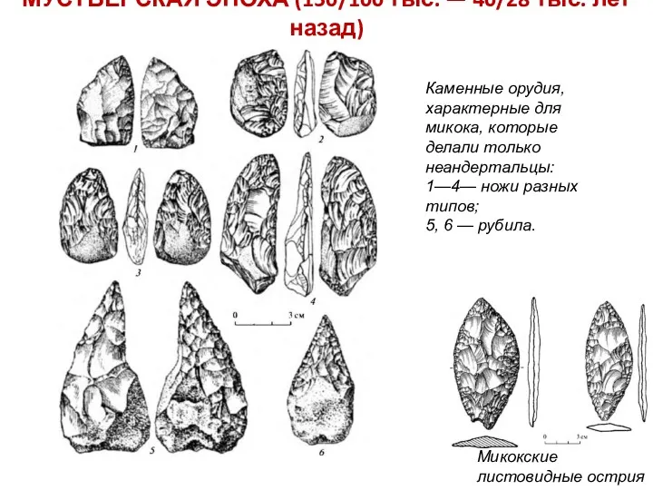МУСТЬЕРСКАЯ ЭПОХА (150/100 тыс. — 40/28 тыс. лет назад) Каменные