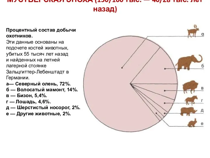 МУСТЬЕРСКАЯ ЭПОХА (150/100 тыс. — 40/28 тыс. лет назад) Процентный