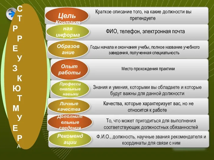 Краткое описание того, на какие должности вы претендуете Годы начала