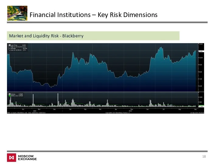 Financial Institutions – Key Risk Dimensions Market and Liquidity Risk - Blackberry
