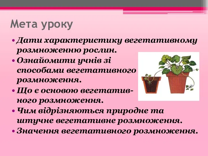 Мета уроку Дати характеристику вегетативному розмноженню рослин. Ознайомити учнів зі