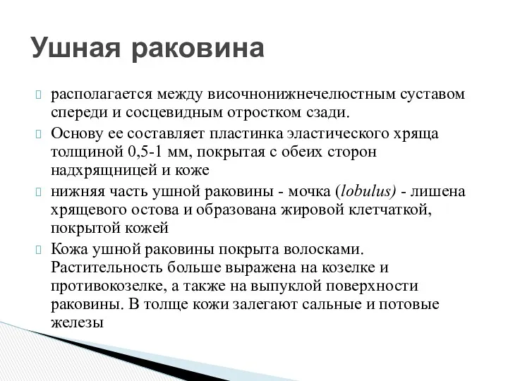 располагается между височнонижнечелюстным суставом спереди и сосцевидным отростком сзади. Основу