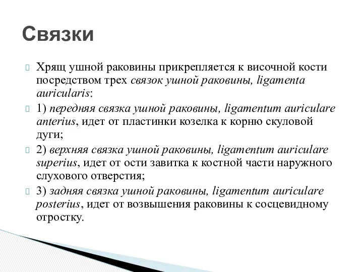 Хрящ ушной раковины прикрепляется к височной кости посредством трех связок