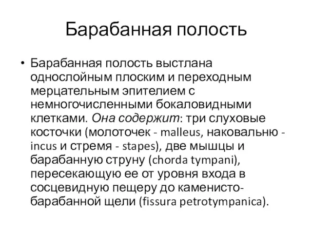 Барабанная полость Барабанная полость выстлана однослойным плоским и переходным мерцательным