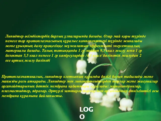 Липидтер өсімдіктердің барлық ұлпаларында болады. Олар май қоры түрінде немесе тор протоплазмасының құралыс