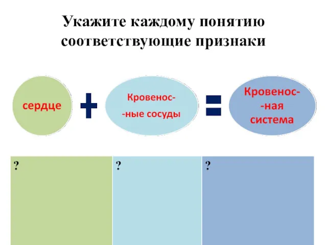 Укажите каждому понятию соответствующие признаки