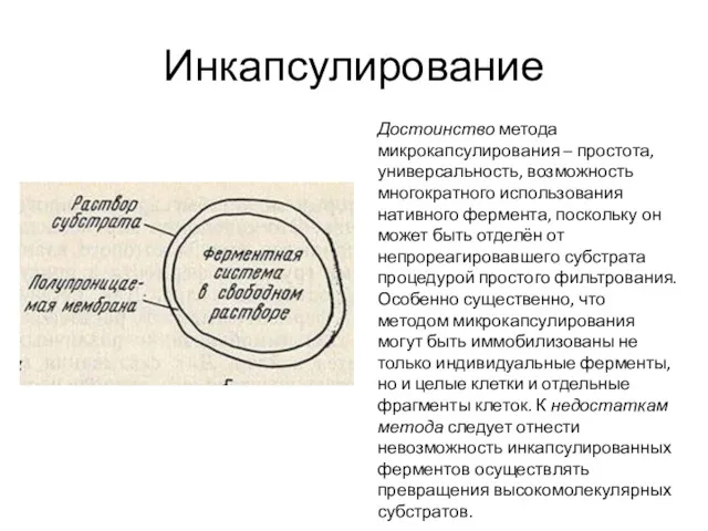 Инкапсулирование Достоинство метода микрокапсулирования – простота, универсальность, возможность многократного использования