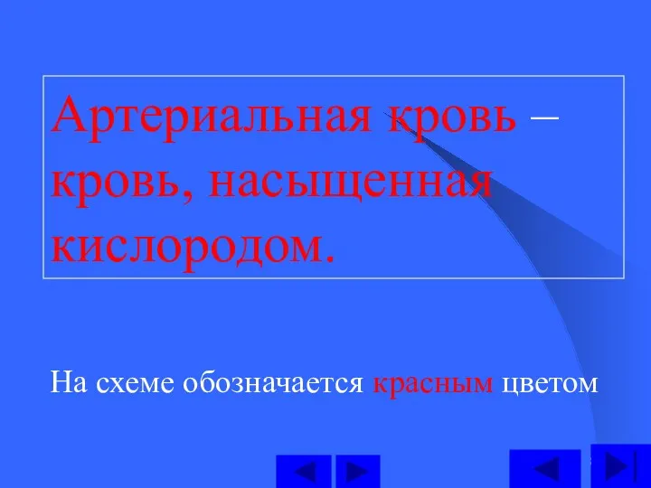 Артериальная кровь – кровь, насыщенная кислородом. На схеме обозначается красным цветом